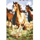 fleecová deka s motivem cválajících koní